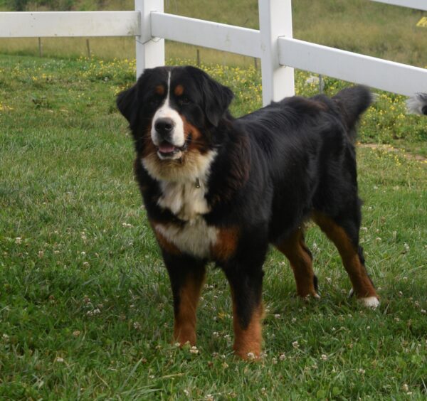 Ms. Jill - Image 8