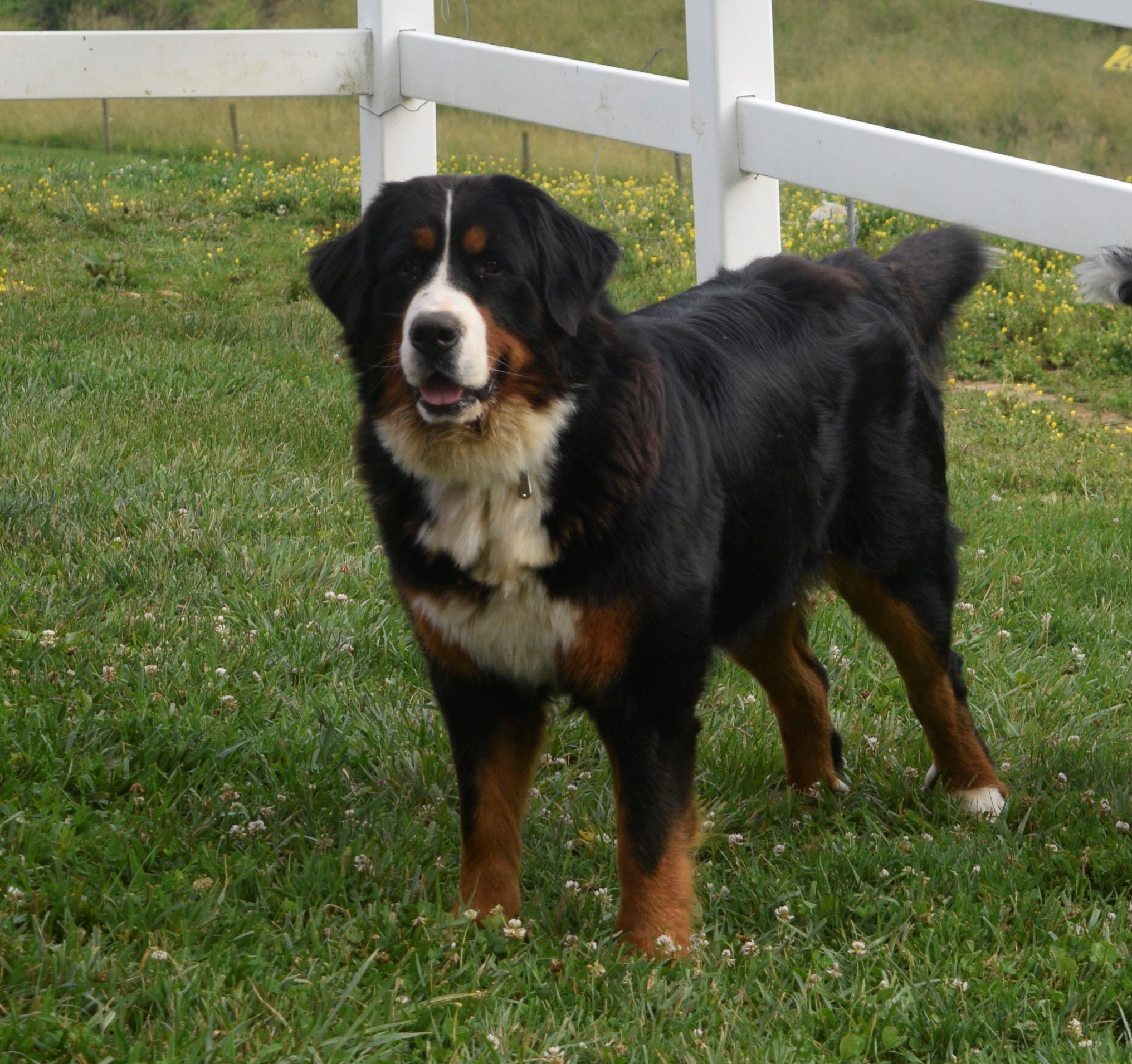 Ms. Hazel - Image 6